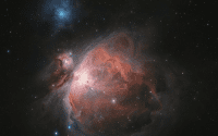 Mgławica Oriona (M42) – obiekt mgławicowy
