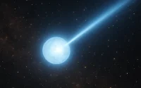 PSR J0101–6422 – pulsar