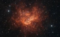 Vulpecula OB1 – obszar gwiazdotwórczy