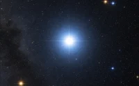 Procyon