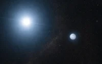 Procyon B